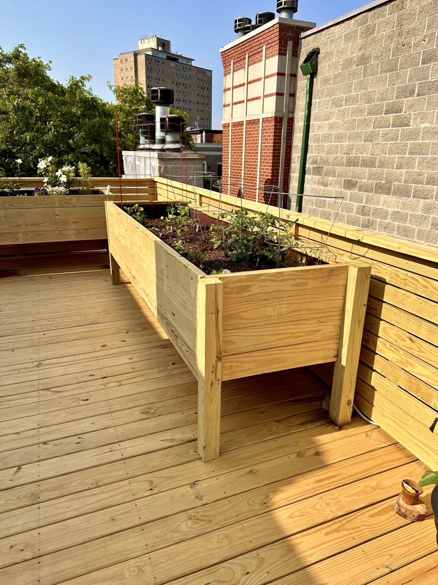 Spacious Wooden Rooftop Sun Deck — 3 of 6